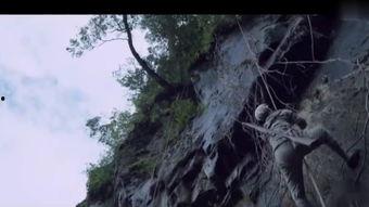 险峰在线观看,揭秘科技投资领域的风云变幻