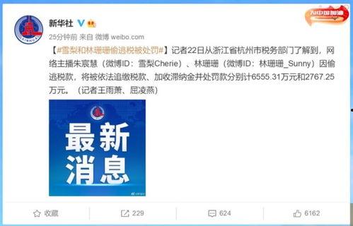 网红逃税知乎全文,知乎全文深度解析