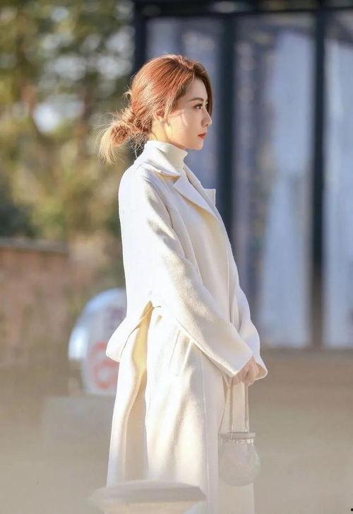 白冰明星系列,璀璨星途，魅力绽放