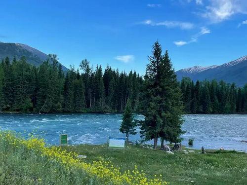 今日头条喀纳斯旅游攻略,探寻北疆秘境，尽享自然奇观