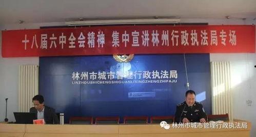 林州林河新闻头条,聚焦林河发展新动态，共绘美好未来画卷