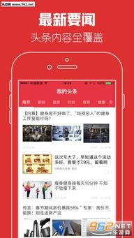 头条找手机批发工作,揭秘头条助力手机批发工作