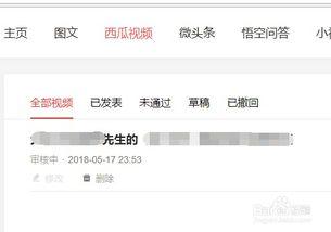 头条账号可以发几个视频,一网打尽精彩瞬间