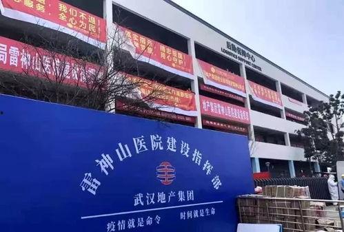 芜湖南陵太丰新闻头条,太丰镇焕新颜，乡村振兴战略成效显著