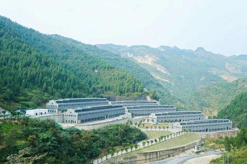 榆林吴家沟新闻头条,聚焦最新发展动态，共话乡村振兴新篇章