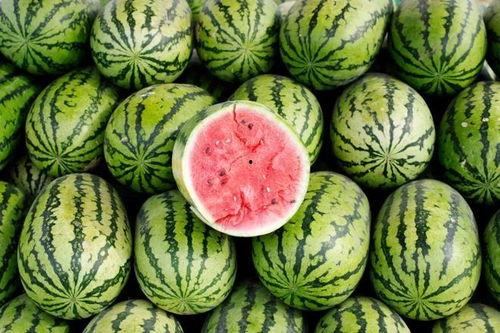 西瓜吃瓜图片,探寻西瓜吃瓜的视觉盛宴