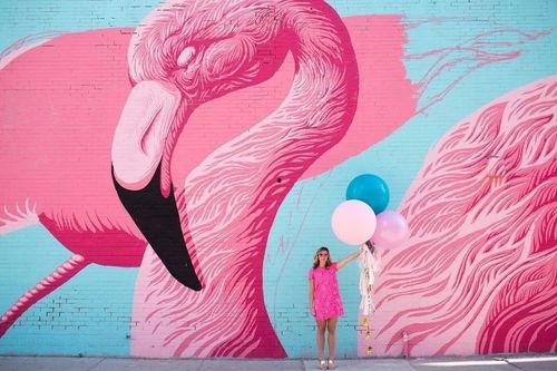 网红元素含义,潮流风向标下的文化现象解析