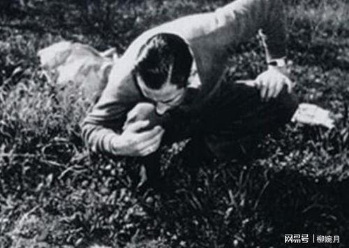 1947年美国明星,1947年美国电影明星璀璨之夜