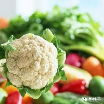 汉中菜花头条,探寻汉中菜花产业的辉煌与未来