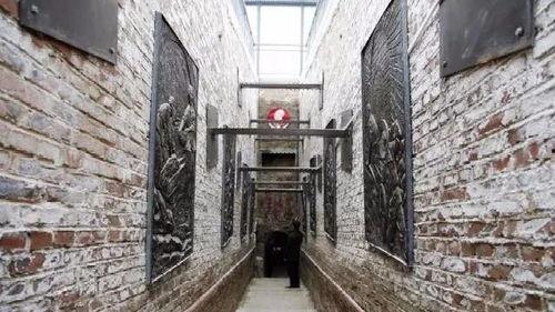 网红地道忠良简介,揭秘网红背后的真实故事与品质魅力