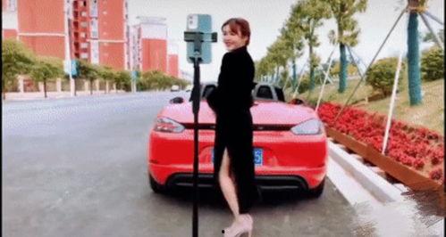 交通小网红,交通小网红带你畅游城市交通新风尚