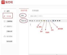 头条发布文章插入表格,[文章标题] - [表格内容概要]