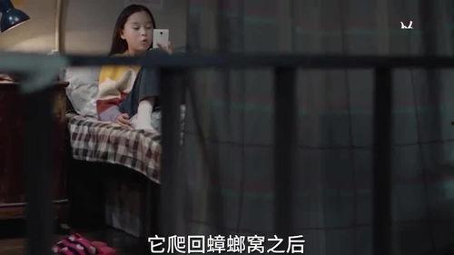 丁姐被人爆料视频,揭秘背后真相与争议