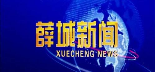 薛城新闻头条金融,聚焦最新政策与市场热点