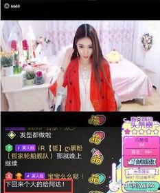 利哥头条大脸,揭秘大脸背后的故事与魅力