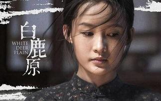 电视剧白鹿原在线观看完整版
