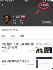 头条号后台认证步骤,轻松完成账号认证
