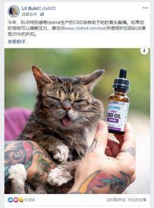 网红猫舌梳,萌宠造型新潮流，宠物护理新选择