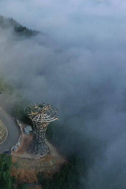 云和梯田网红直播,揭秘云和梯田的网红直播魅力