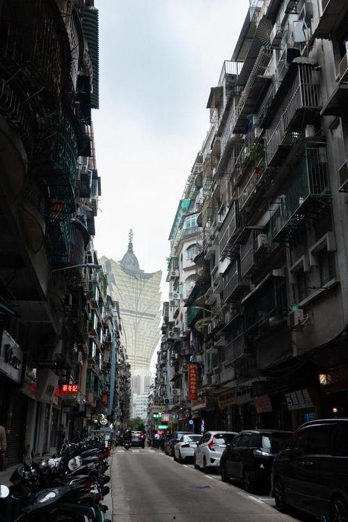 龙华网红打卡酒家地址,探寻城市美食新地标