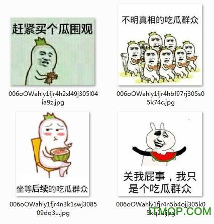 吃瓜小羊表情包图片,萌态可掬，笑点满满