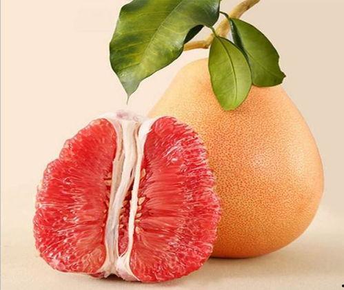 柚子丹日本网红,日本网红的时尚魅力与生活态度