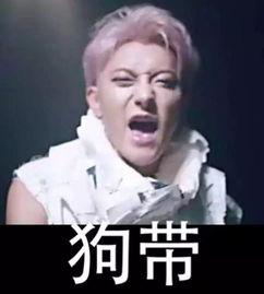 明星表情包侵权,版权争议下的网络文化反思