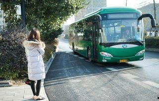 滕州网红公交车路线,带你领略城市风情与人文魅力