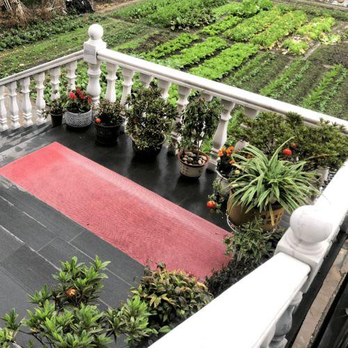 头条最美的庭院,探寻头条上那些令人陶醉的私家园林风采