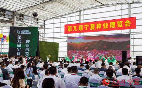 银川平罗今日头条新闻,聚焦今日热点，共话发展新篇