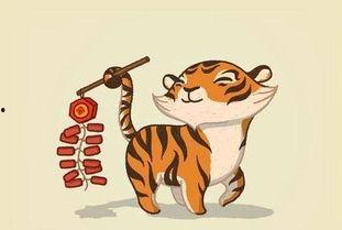 虎财吃瓜小说在线阅读免费,揭秘小说世界中的财富与纷争