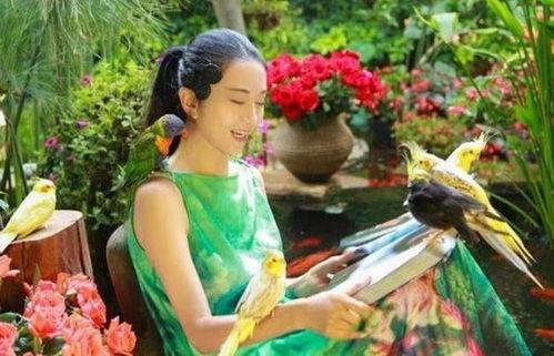 人间仙境吃瓜群众,吃瓜群众眼中的奇幻之旅