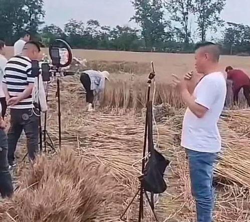 网红麦子图片,镜头下的时尚生活